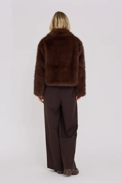 Brown Jacket - Dark Brown