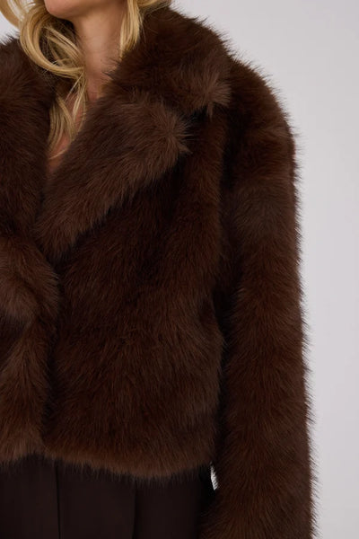 Brown Jacket - Dark Brown