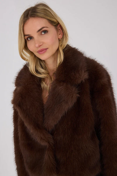 Brown Jacket - Dark Brown