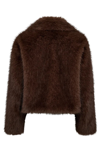Brown Jacket - Dark Brown