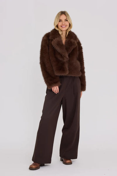 Brown Jacket - Dark Brown